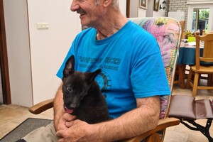 (23 augustus) Bucky Hollandse Herder