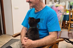 (23 augustus) Bucky Hollandse Herder