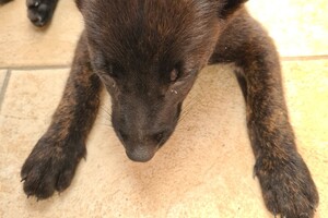 Onze Bucky - 23 augustus 2021