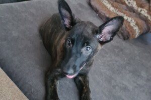 Onze Bucky - 23 augustus 2021