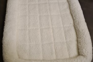 Onze Bucky - 23 augustus 2021