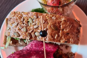 Module B1: Kynologisch basis instructeur