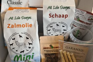 Silver: puppy curcus