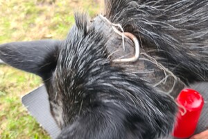 Yada: hersenwerk spellen en detectie