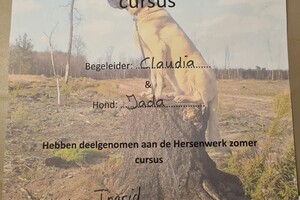 Yada: hondenschool jaar 2022