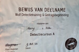 Begin met Detectie 2022 - Eind resultaat