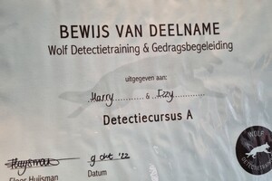 Begin met Detectie 2022 - Eind resultaat
