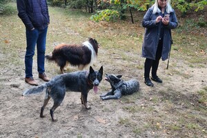 Ezran Dundee: Yada en Silver 