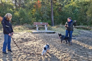 Rasweekend vakantie! Bayko