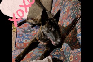 Bucky: 9e hoopers les gehad vandaag