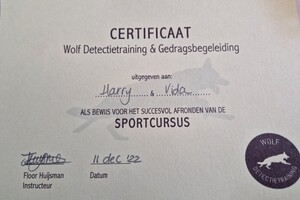 Begin met Detectie 2022 - Eind resultaat