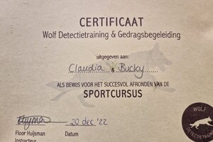Bucky: sport curcus