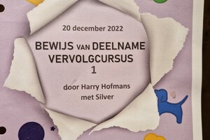 Silver: gehoorzaamheid 1