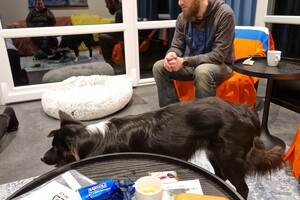 Ava Kira en Flynn: jaarwisseling op vakantiepark