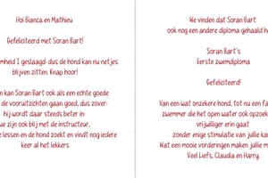 Soran Bart: EG Curcus