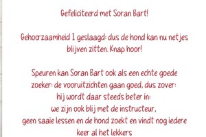 Soran Bart: EG Curcus