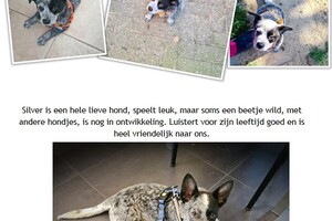 "Speelveldje" - 1 juli