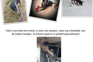 "Speelveldje" - 1 juli