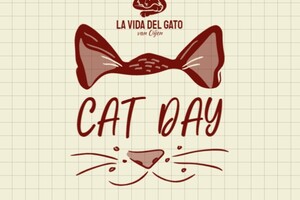 vitakraft experience