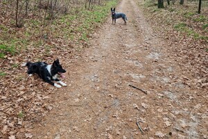 Ava Kira: nieuwjaarsdags wandeling met Claudia en Harry