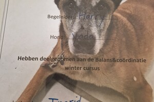 Yada en Bucky: workshop balans en coördinatie afgerond