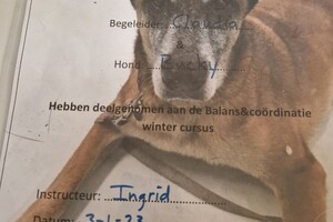 Bucky: hondenschool jaar 2022