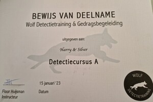 Begin met Detectie 2022 - Eind resultaat