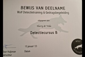 Begin met Detectie 2022 - Eind resultaat