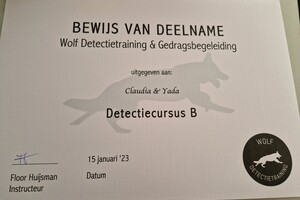 Yada: detectie B gehaald