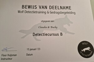 Bucky: detectie B gehaald