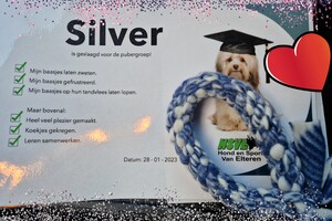 Silver: agility puber curcus geslaagd