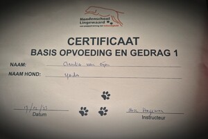 Yada: hondenschool jaar 2022