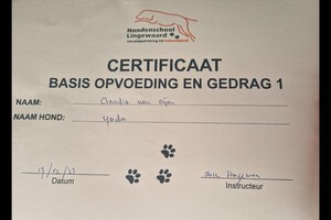 Yada: gehoorzaamheid 1 gehaald 