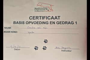 Yada: hondenschool jaar 2022