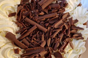 Ondernemer asiel, pension, cattery en kennel