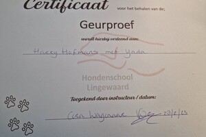 Yada: detectie A - geurproef 