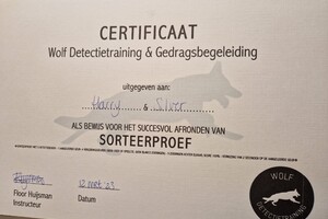 Silver: detectie geurproef en B gehaald