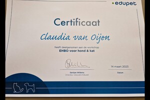 Basis Ehbo voor hond en kat