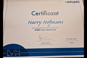 Basis Ehbo voor hond en kat