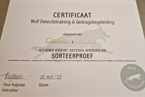 Bucky: hondenschool jaar 2022