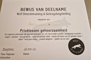 Silver: hondenschool jaar 2022