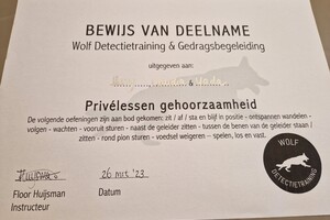 Yada: hondenschool jaar 2022