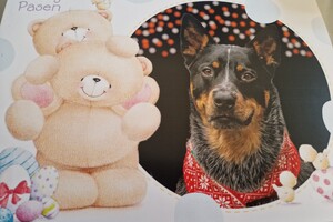 Fijne paasdagen gewenst