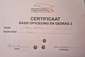 Silver: hondenschool jaar 2022
