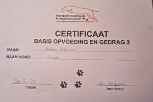 Silver: hondenschool jaar 2022