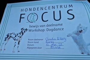 Bucky: hondenschool jaar 2022