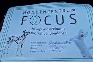 Silver: hondenschool jaar 2022