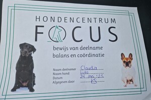 Vida: balans en coördinatie 