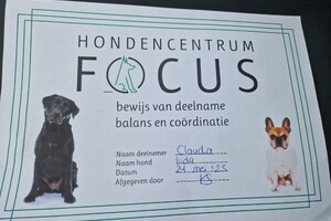 Vida: hondenschool jaar 2022