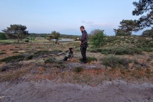 Vida: hondenschool jaar 2022